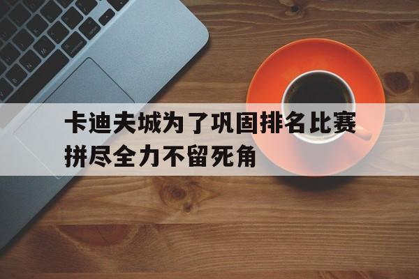 大发快三-卡迪夫城为了巩固排名比赛拼尽全力不留死角(卡迪夫城是哪个国家)
